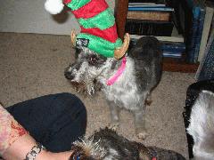 Heather 2006 - IMG_2172.jpg Heather 2006 - IMG_2172.jpg